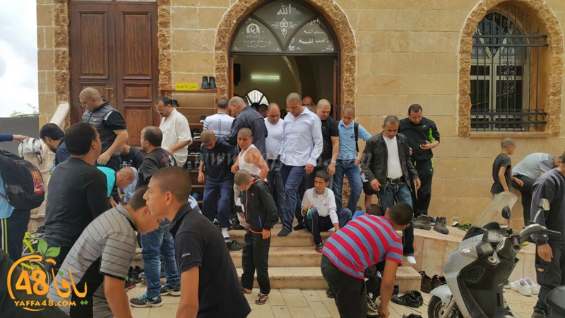 tasheye3 dakkej (12).JPG